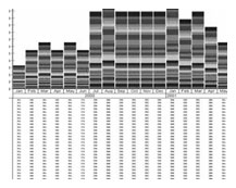 Evolve Project Consulting