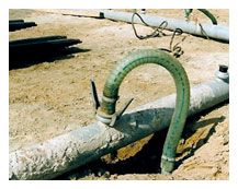 Evolve Project Consulting